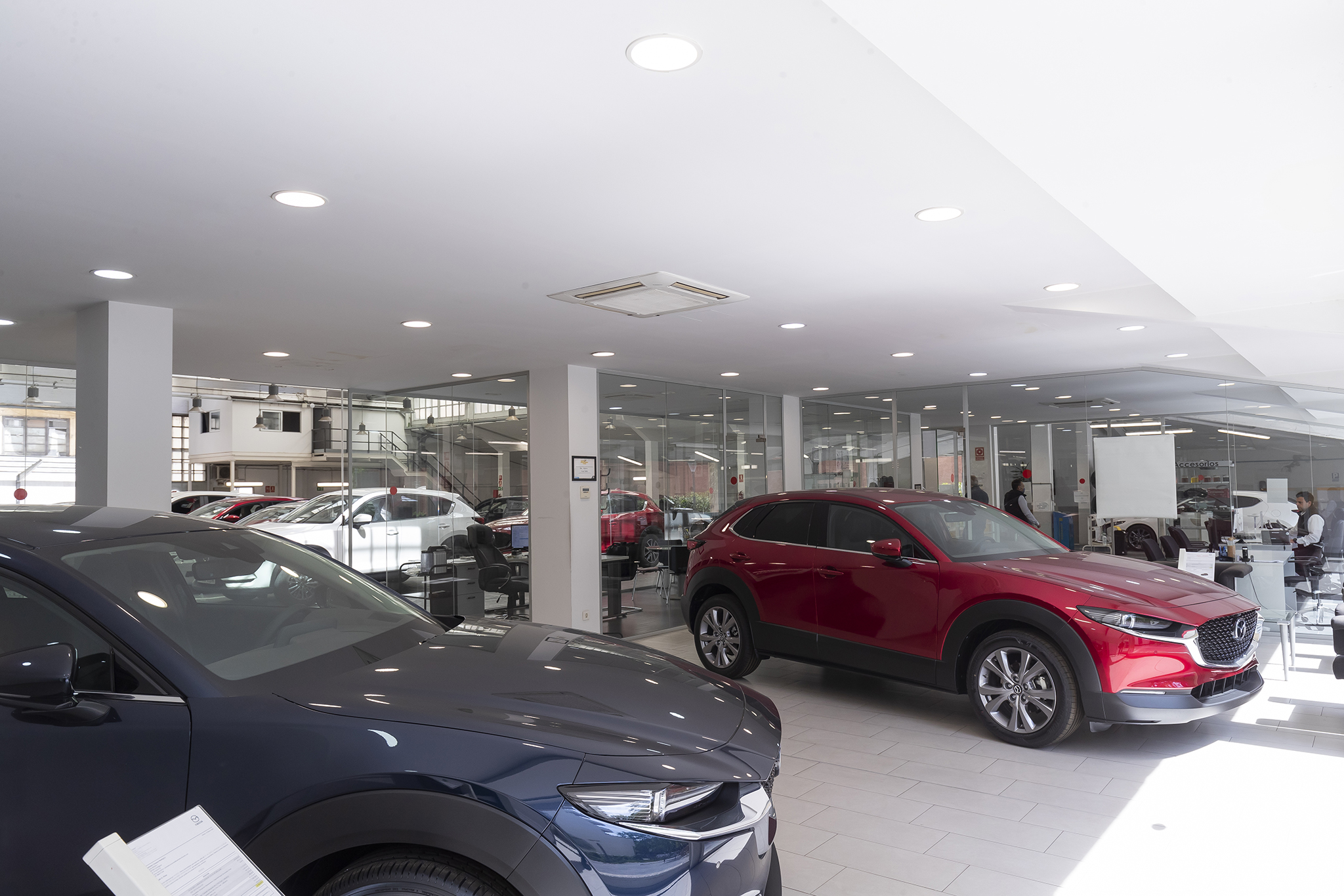 Galería en miniatura