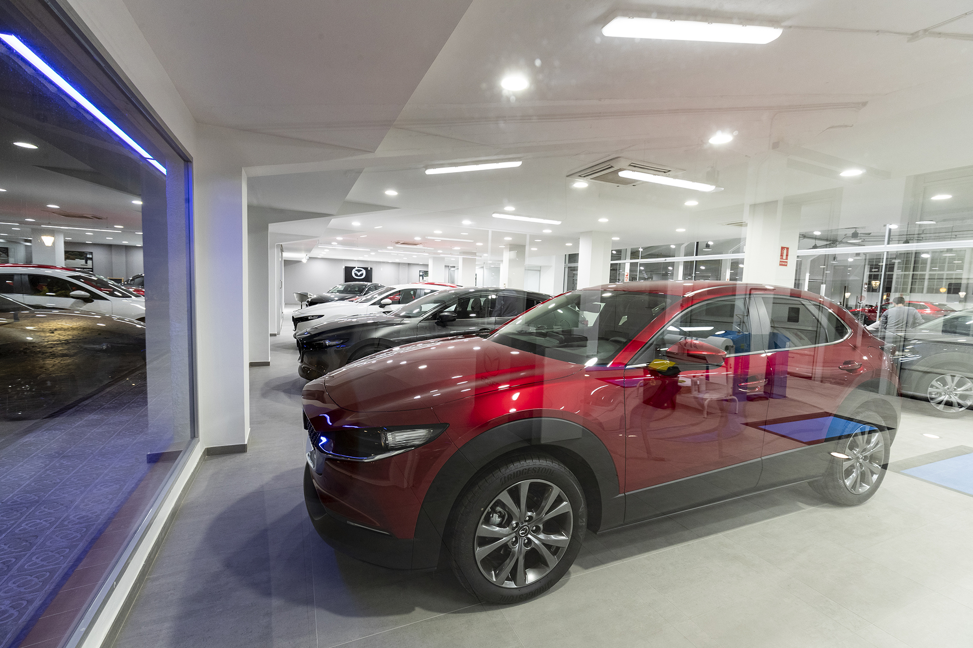 Galería en miniatura