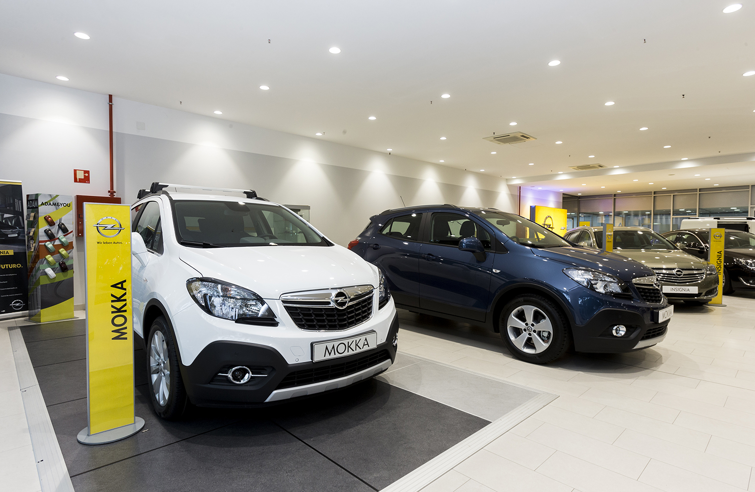 Galería en miniatura