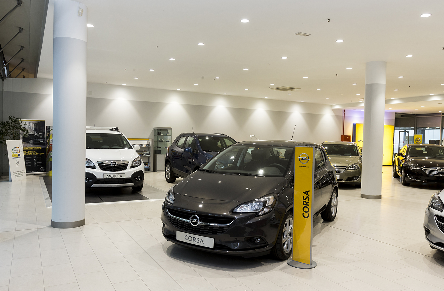 Galería en miniatura