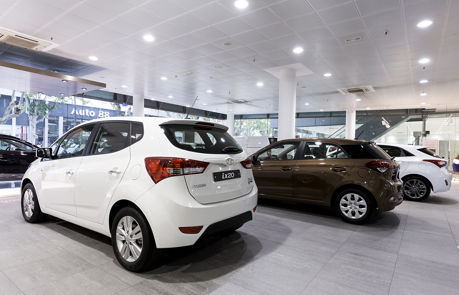 Galería en miniatura