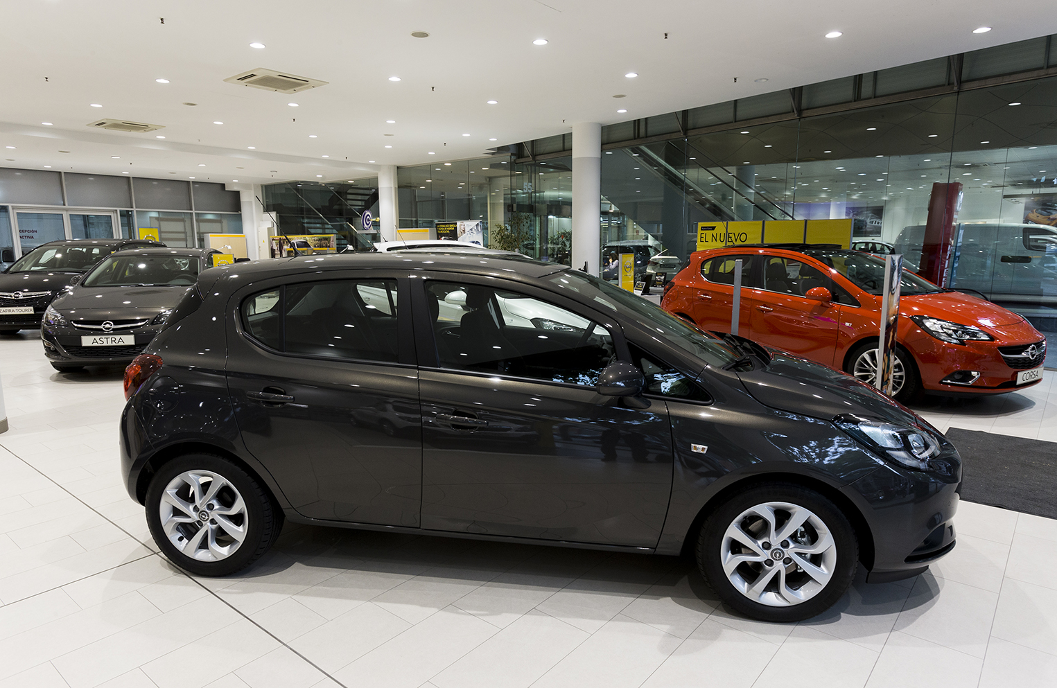 Galería en miniatura