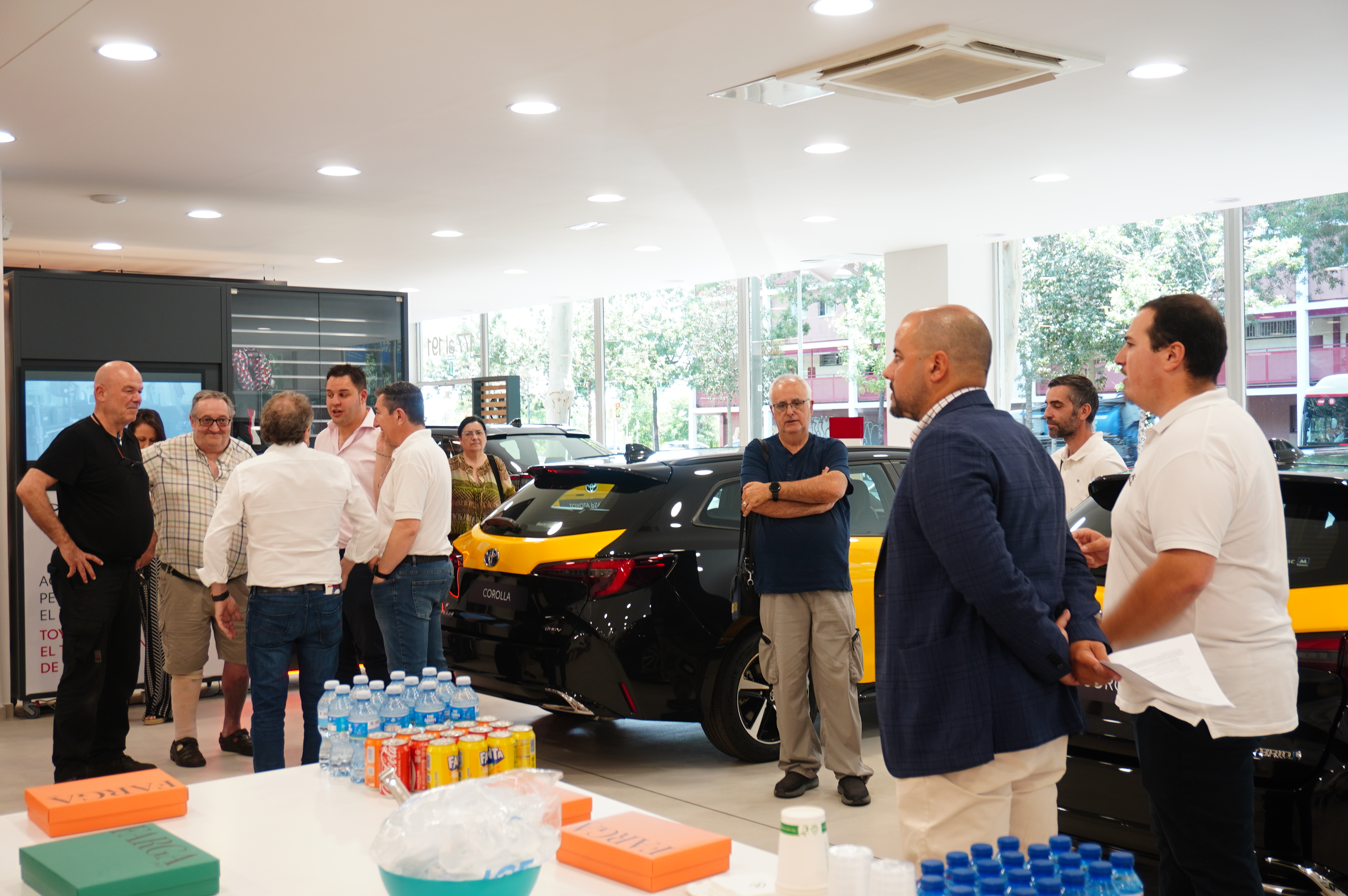 Galería en miniatura