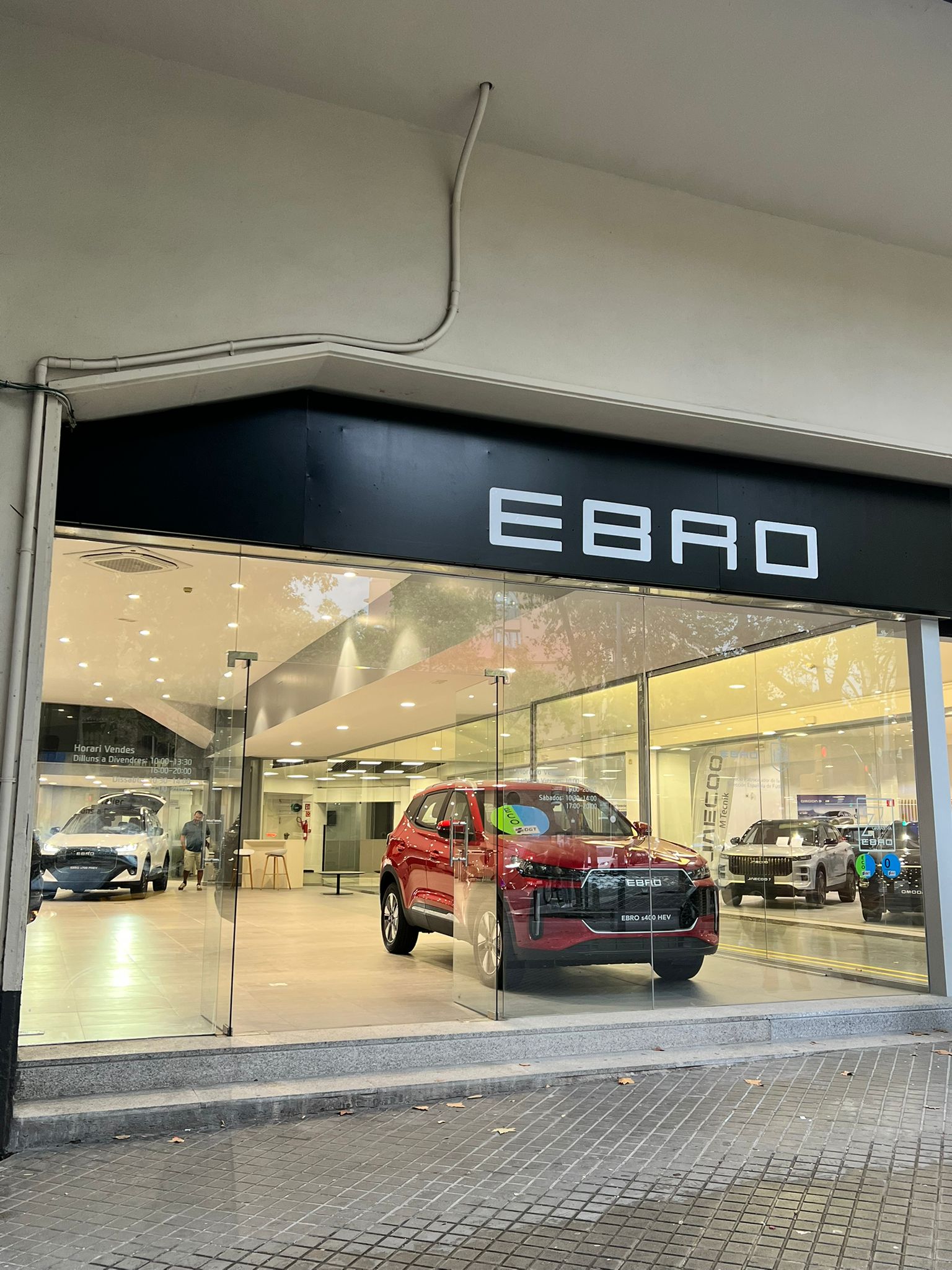 Galería en miniatura