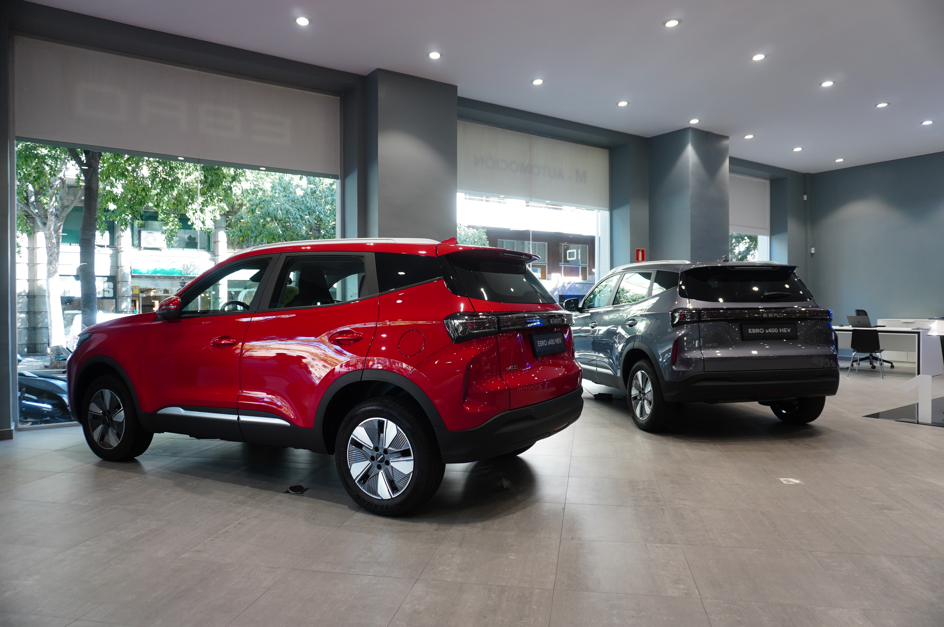 Galería en miniatura