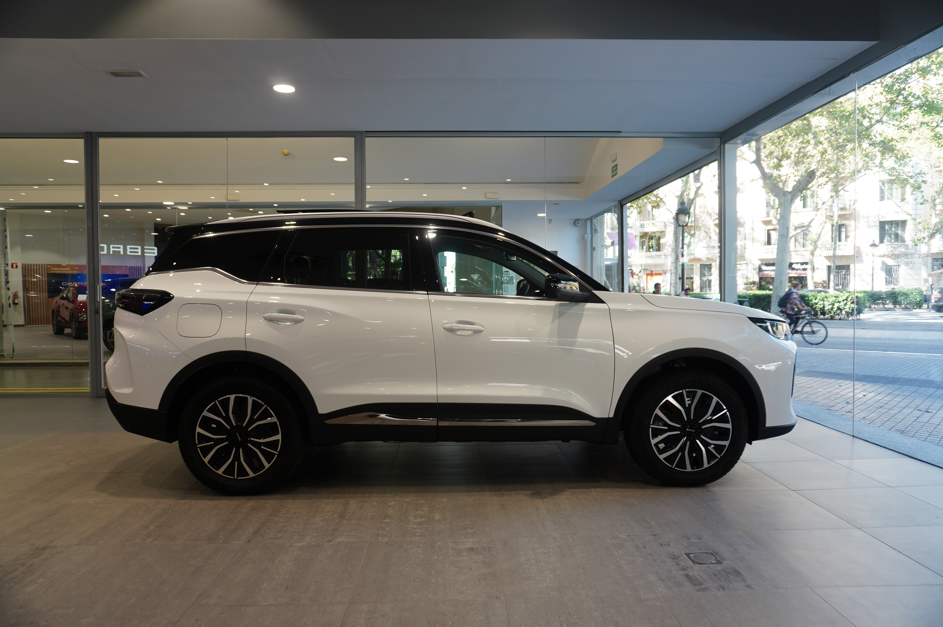 Galería en miniatura