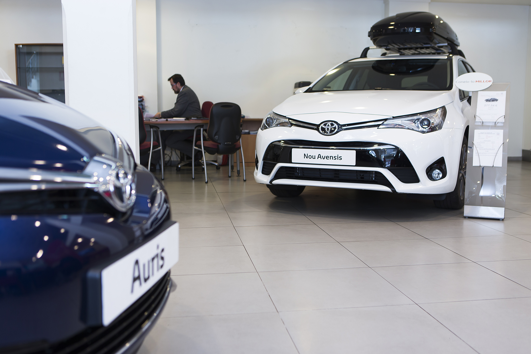 Galería en miniatura