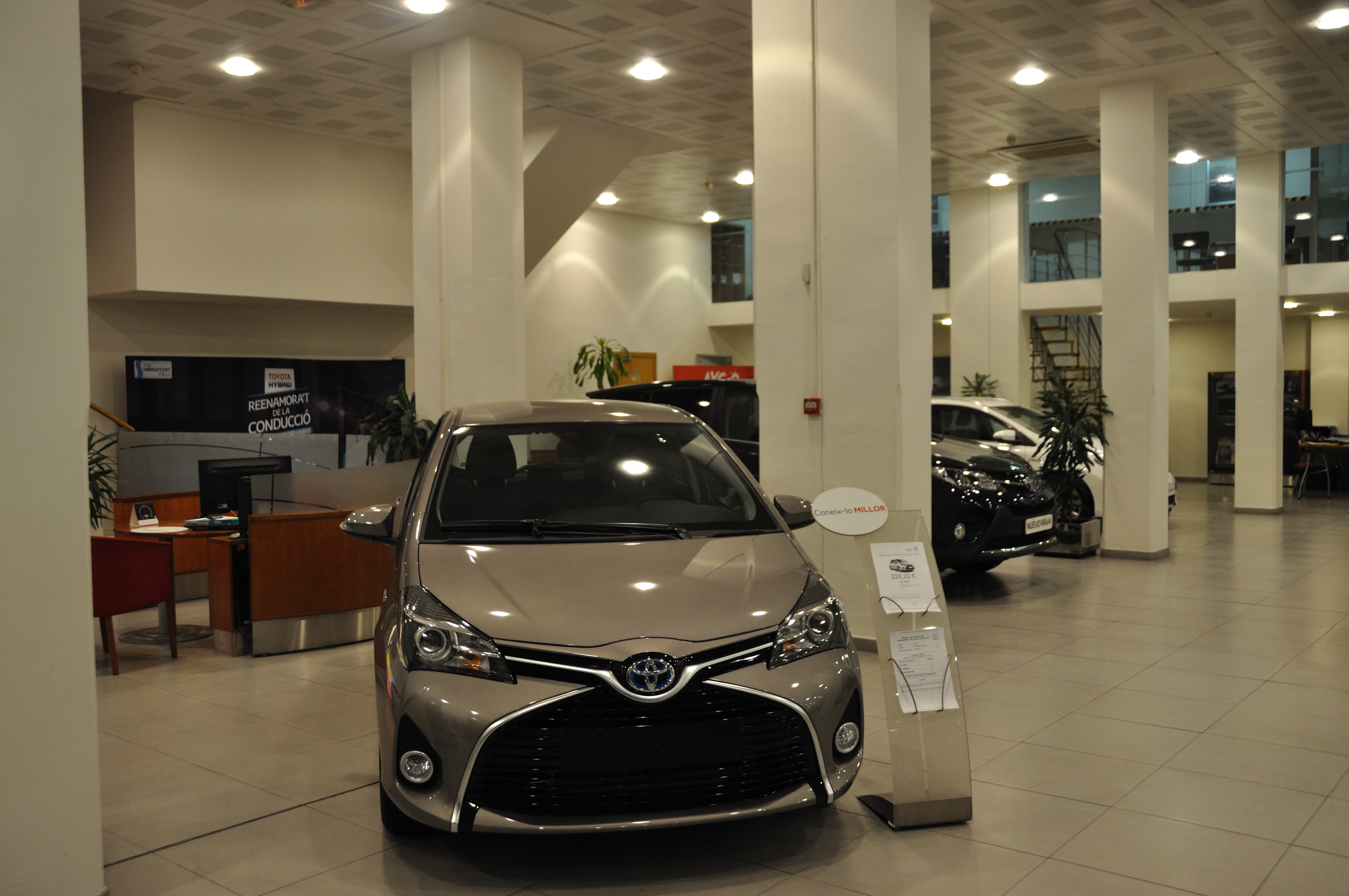 Galería en miniatura