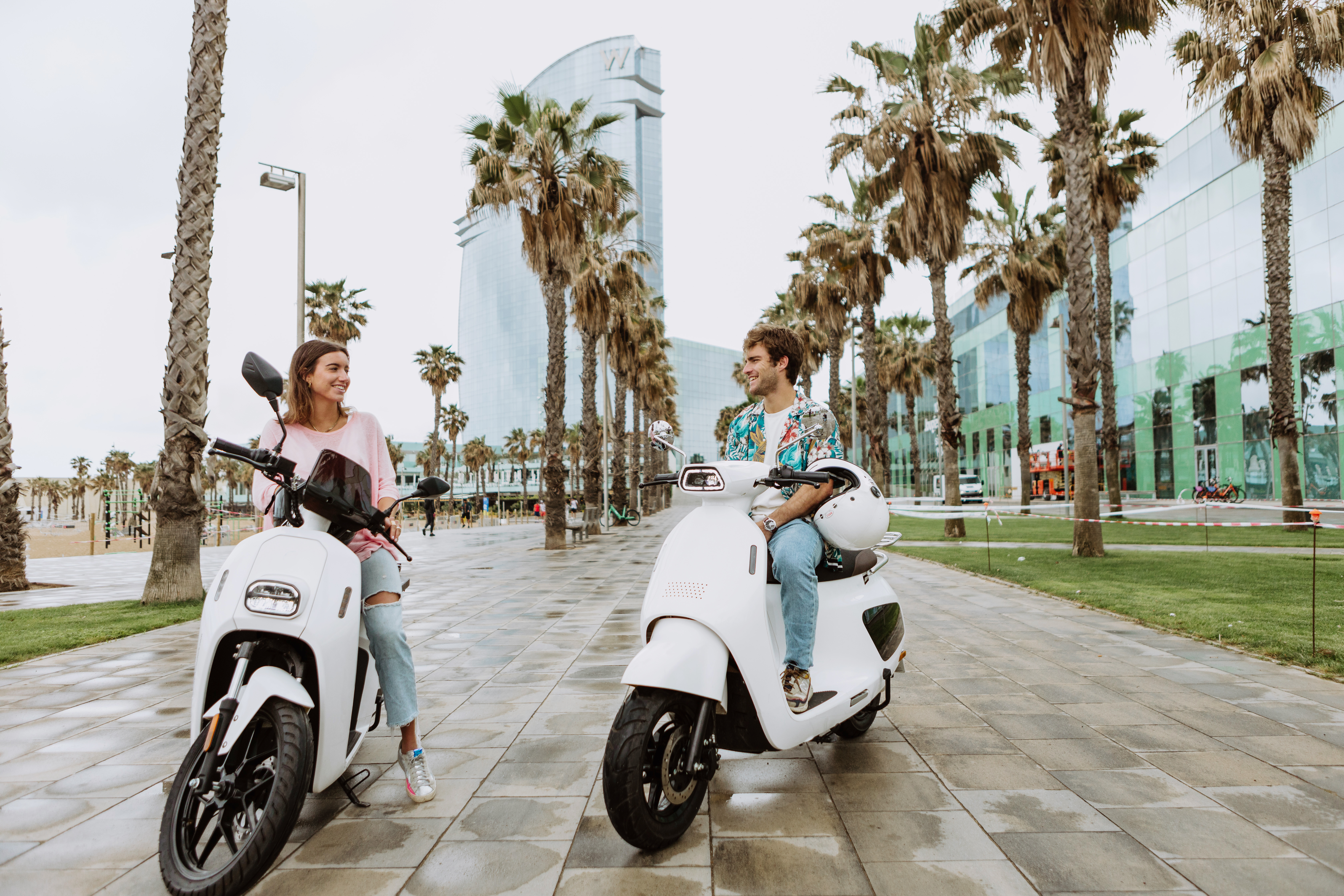 Galería en miniatura