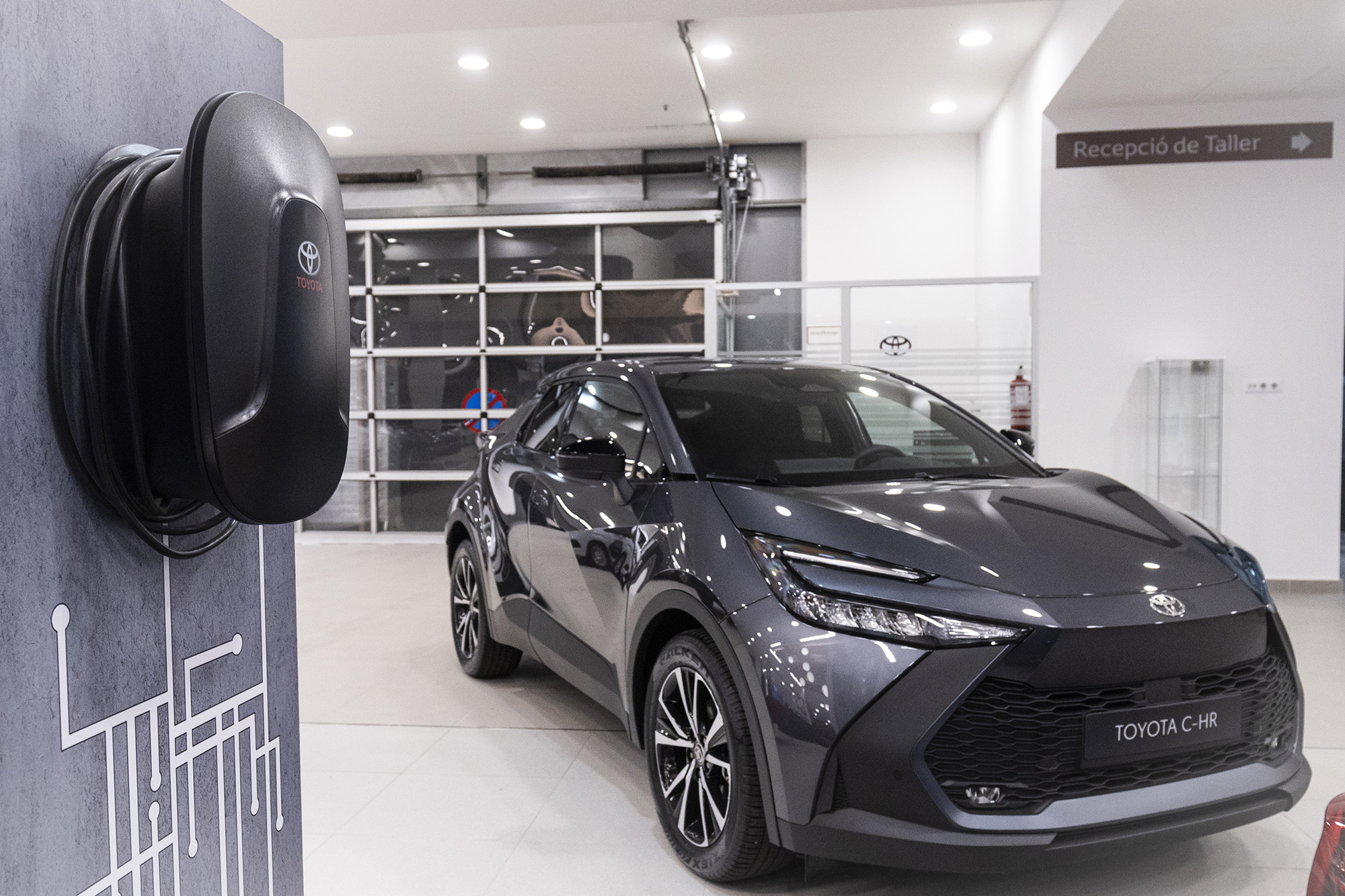 Galería en miniatura