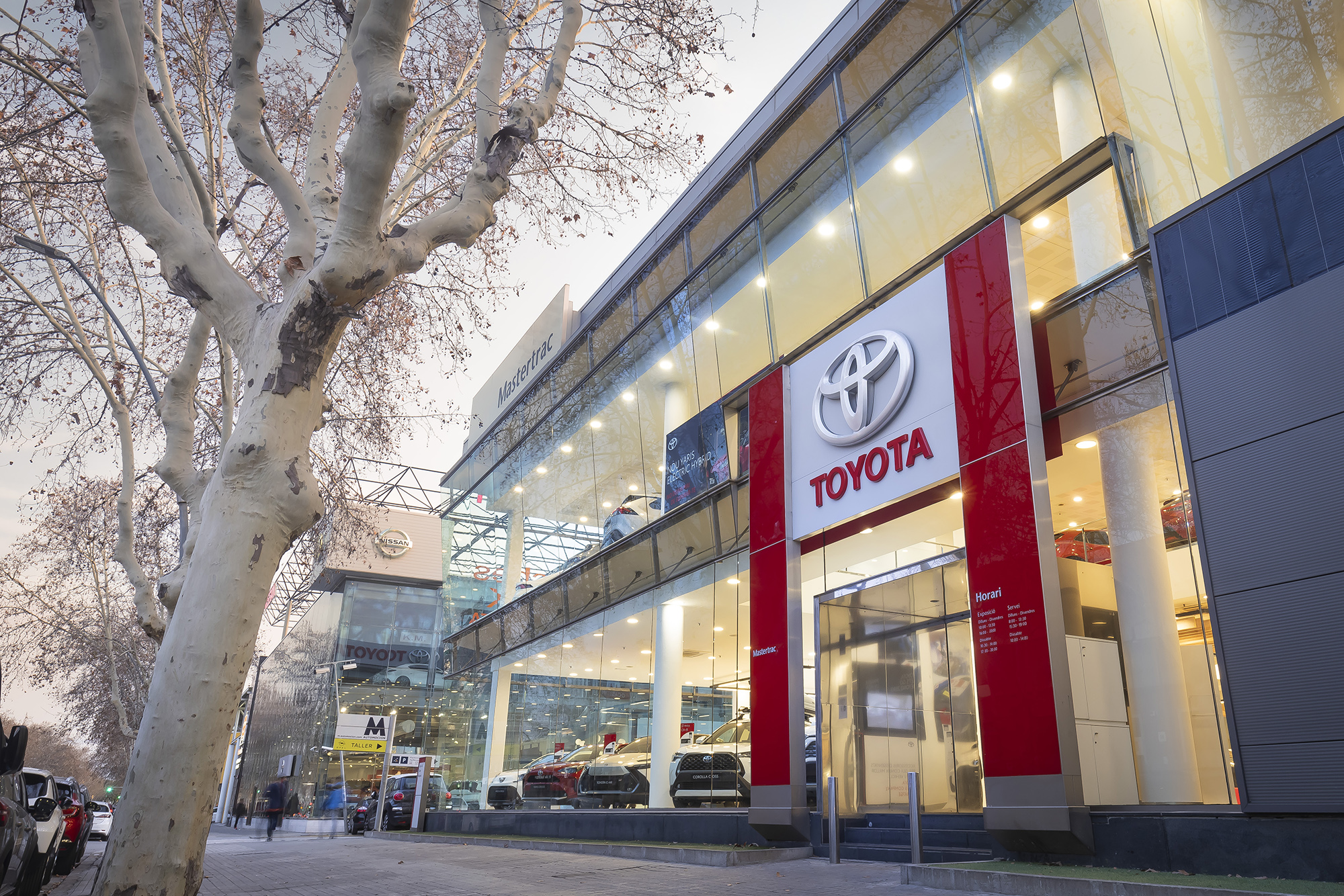 Galería en miniatura