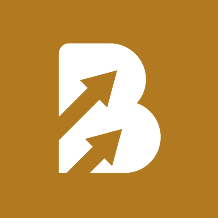 Brandaid Marketing
