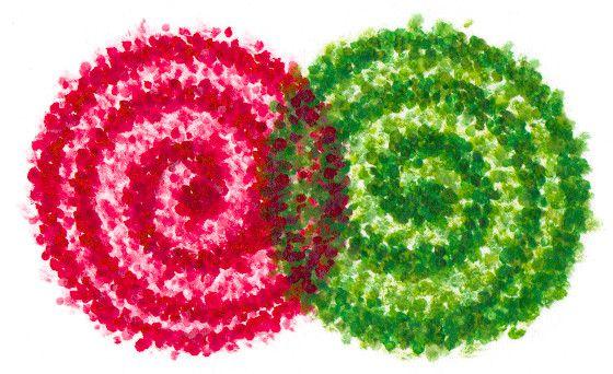 Klipic Quinton Nevena psychologue