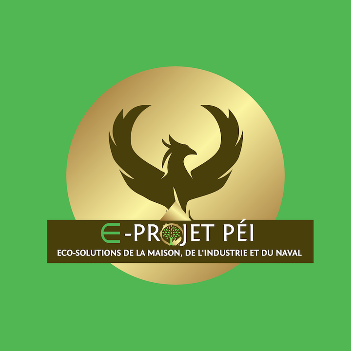 E-Projet Péi Expert