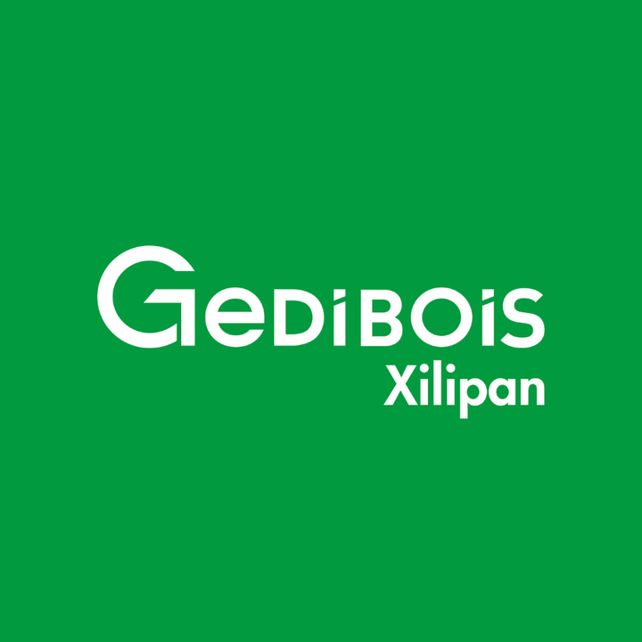 XILIPAN Expert