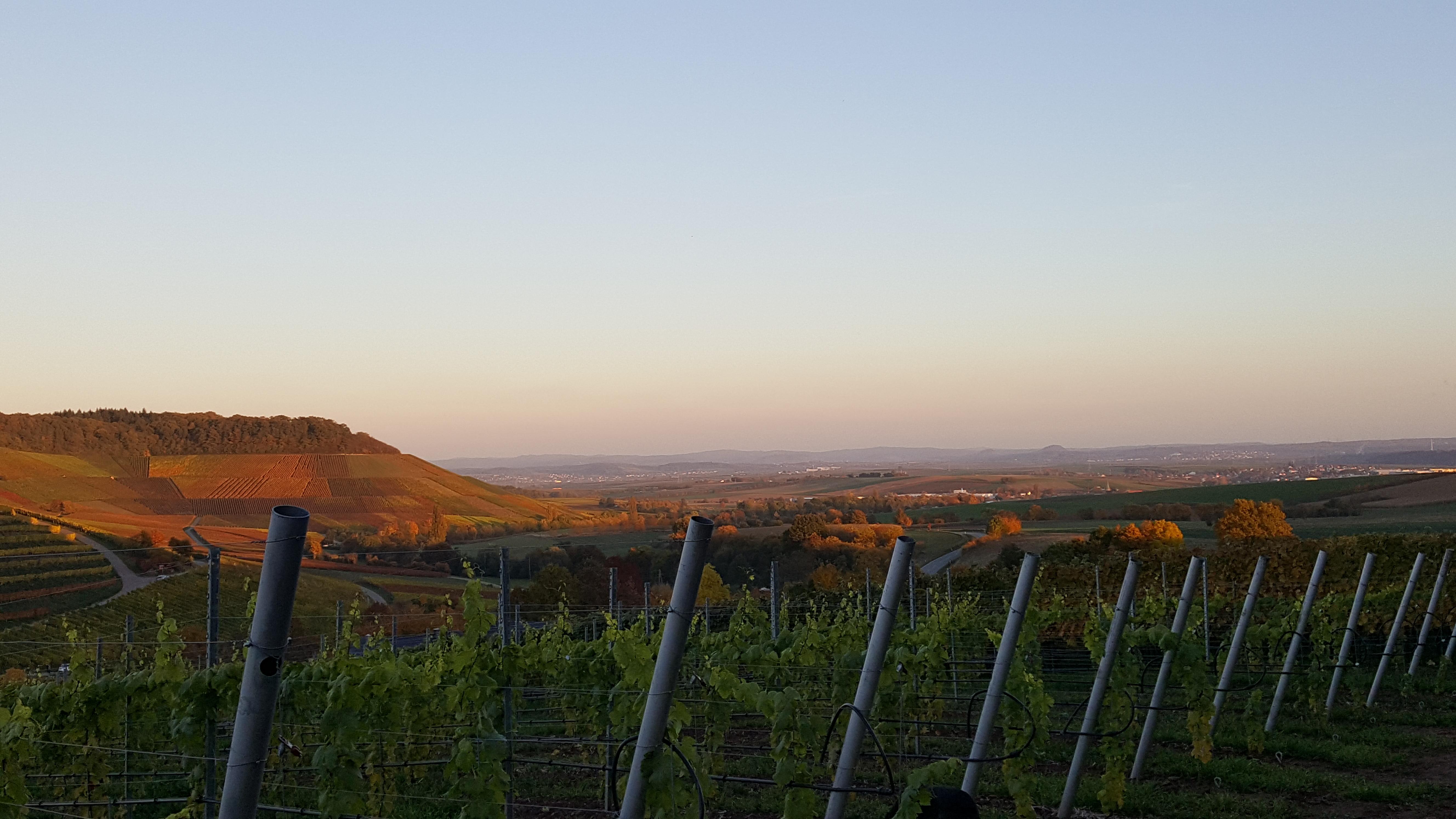 Schiefer Agrar, Gewerbering in Schwaigern