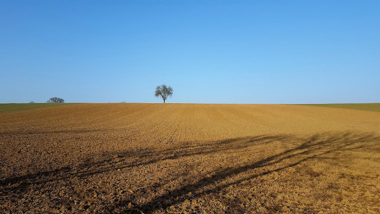 Schiefer Agrar, Gewerbering in Schwaigern