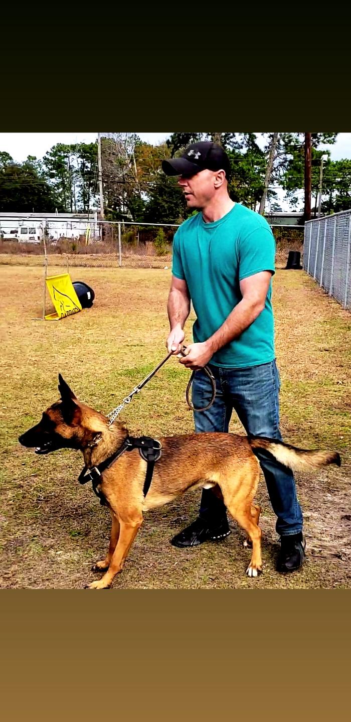 Chambers K9 Training, LLC