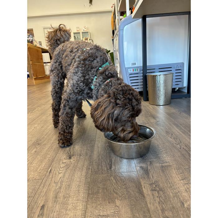 Pets are welcome at Westside Water Store