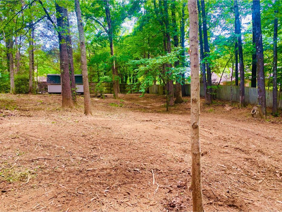 Cleared backyard area showing land clearing and forestry mulching work completed in a wooded residential lot.