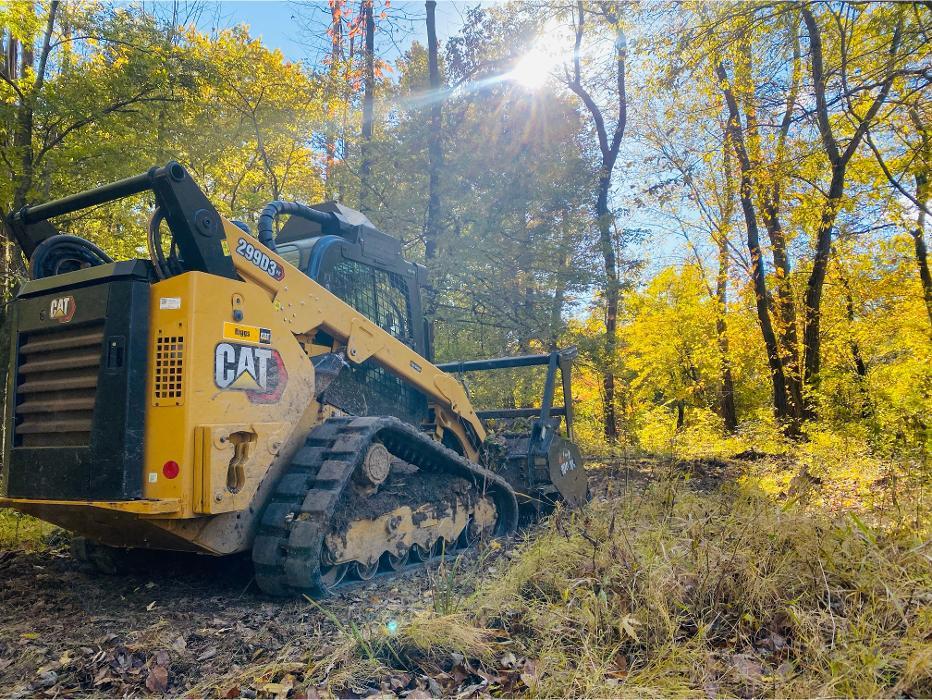 CAT skid steer with forestry mulcher attachment clearing brush and undergrowth in a wooded area.