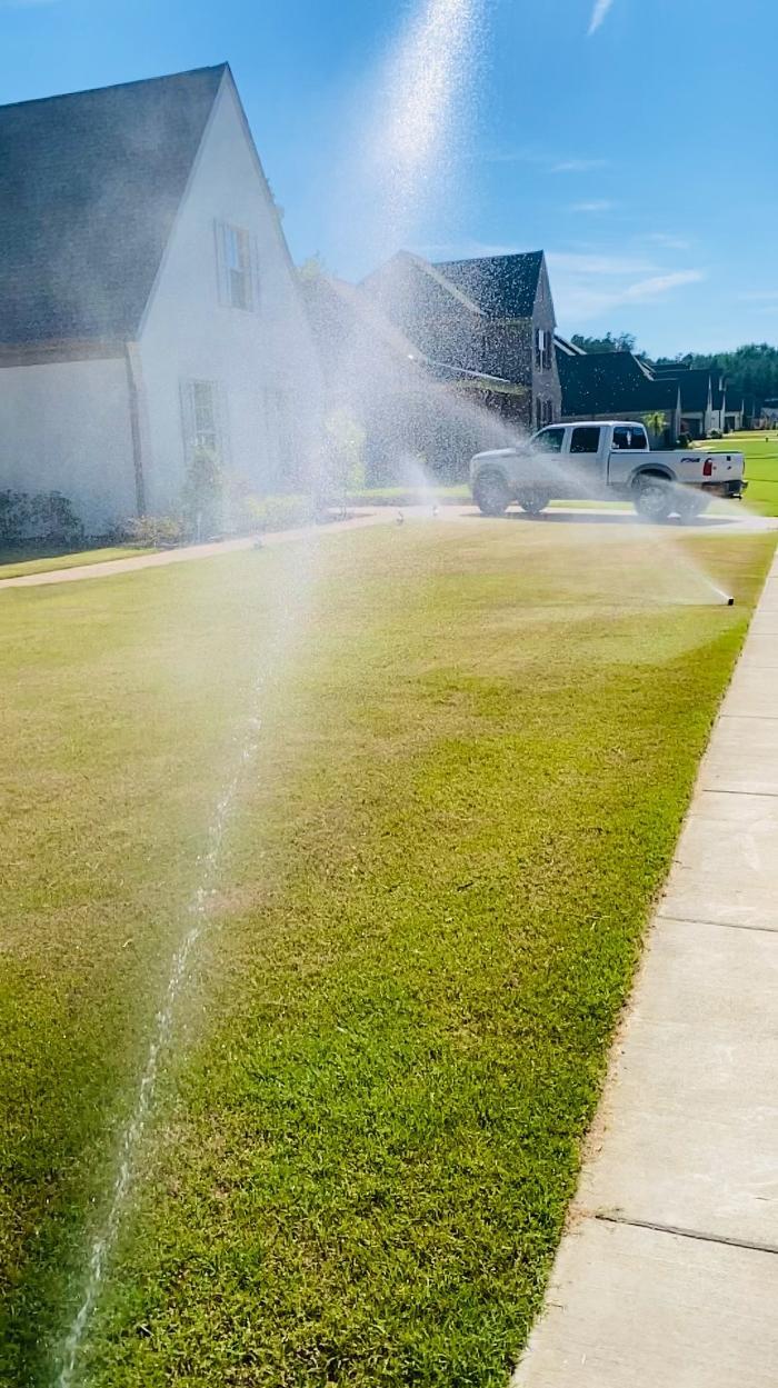 Active lawn irrigation system watering a front yard in a residential neighborhood.