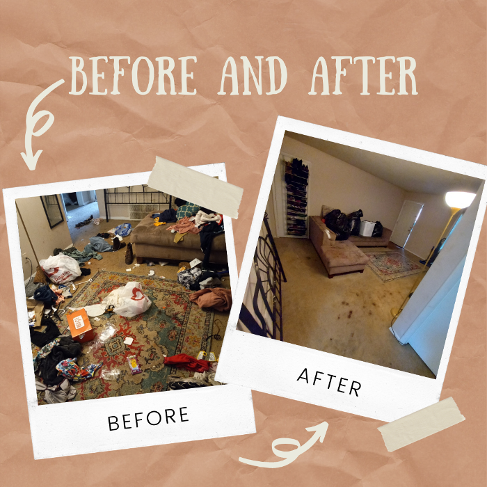 Living room deep clean