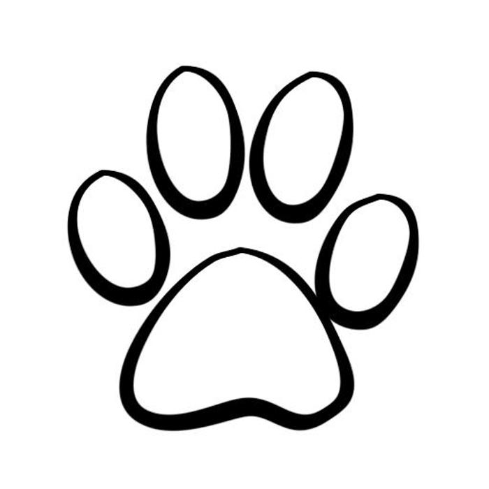 Athens Animal Clinic