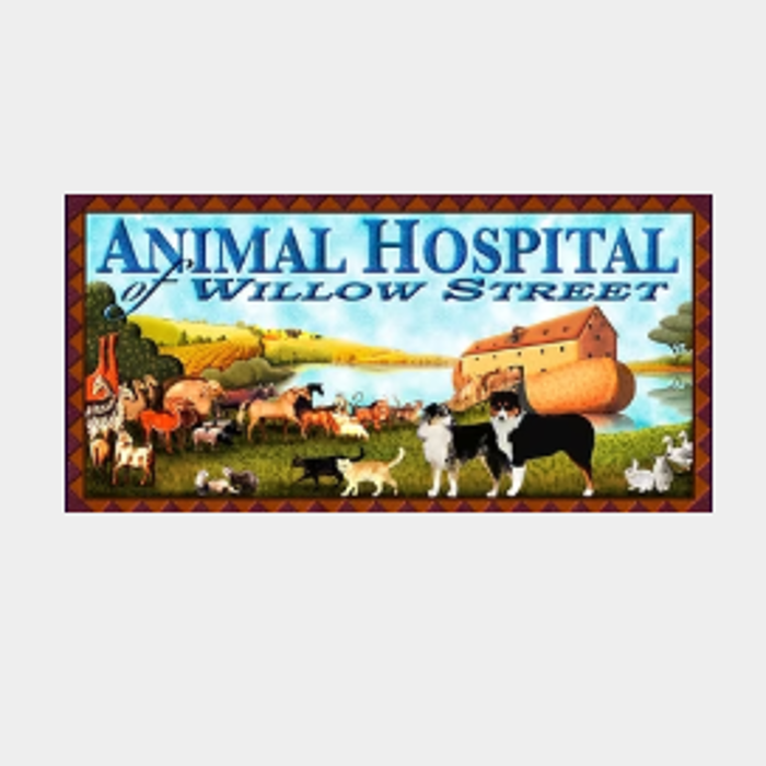 Animal Hospital of Willow Street