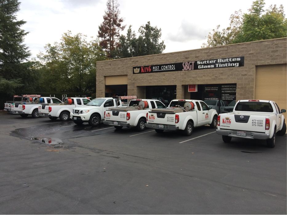 storefront of Cal King pest control