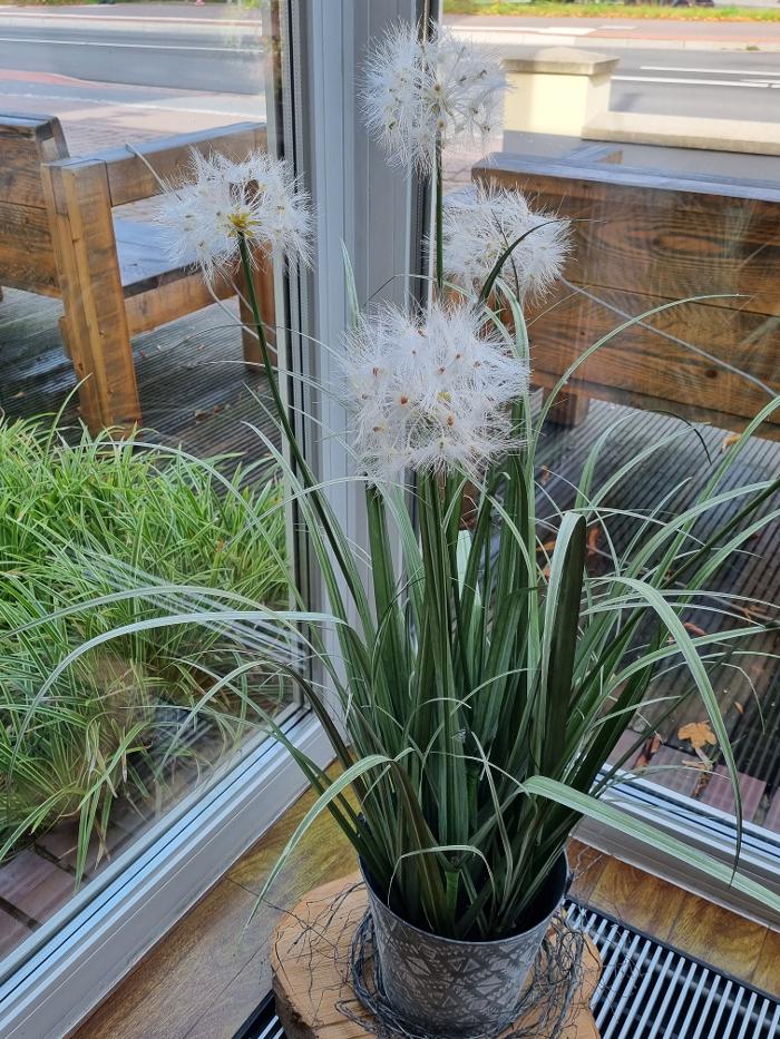 AKZENT Hotel Bavaria Oldenburg, Bremer Heerstraße in Oldenburg (Oldb)