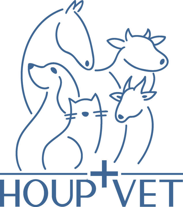 Houp'Vet