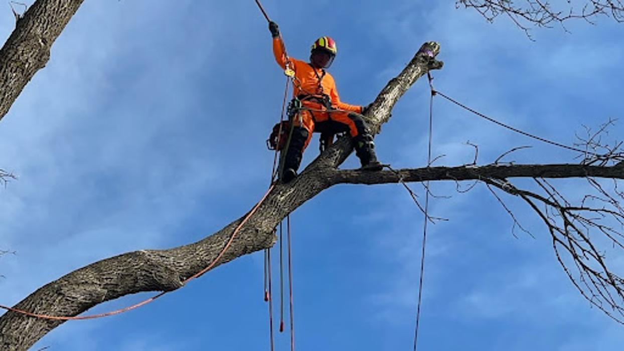 Weber Tree Care LLC