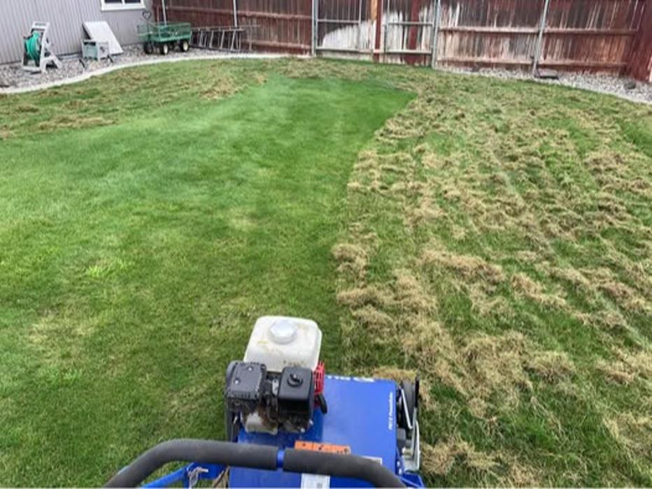 Yard thatching.  Removing thatch from grass.  Dethatching West Richland, WA