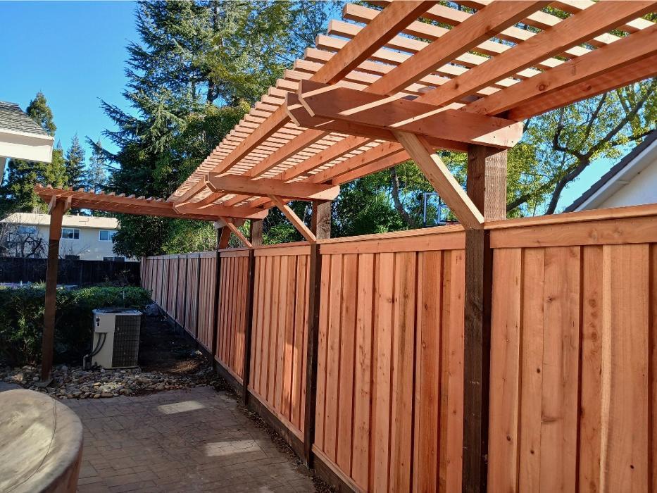 Metal frame automatic gate with trellis
