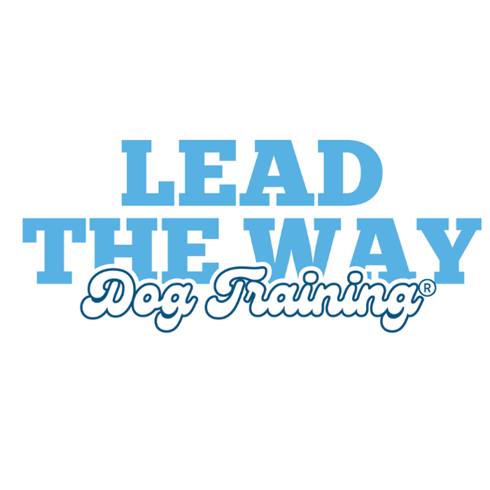 Lead The Way Dog Training