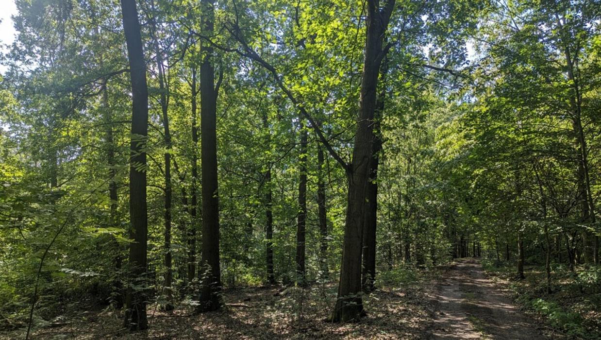 FriedWald Lossatal, S-Weg in Lossatal