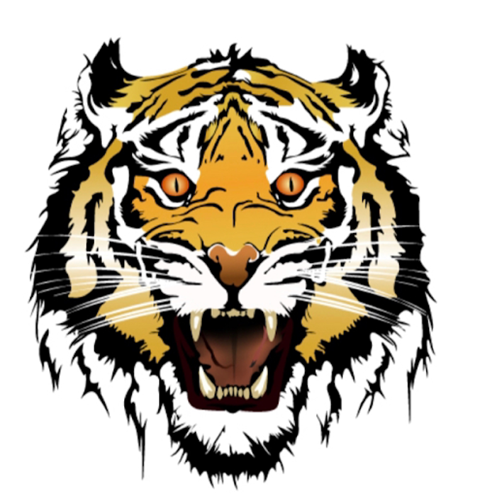 Tiger Grooming & Beauty Lounge
