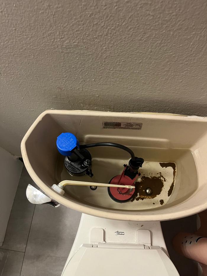 The Dandy Handyman LLC