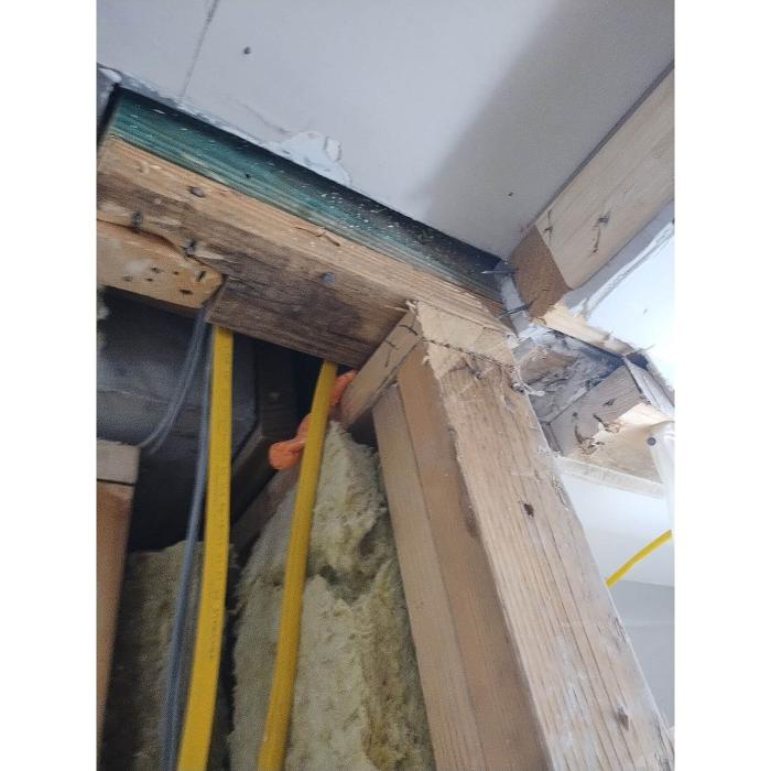 Exposed wall and framing area showing signs of inspection for hidden moisture, water intrusion, or structural environmental concerns.