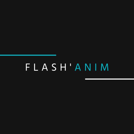 Flash Anim Expert