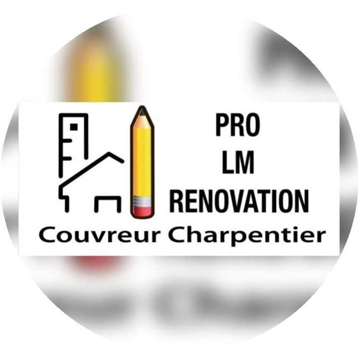 Pro LM Renovation Expert