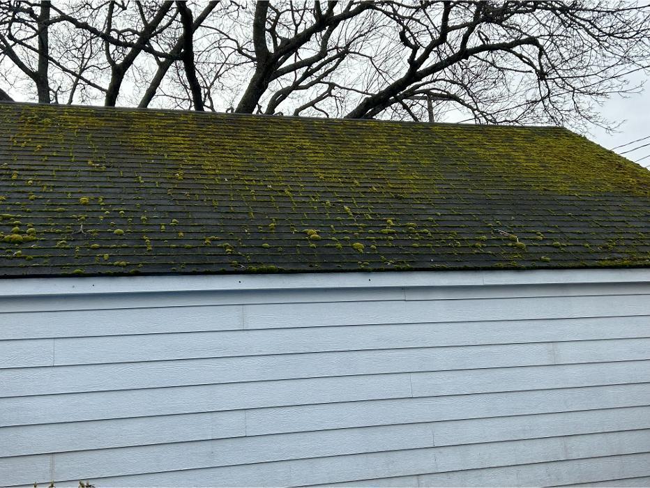 MossHog Roof Cleaning, Moss Treatment & Soft Washing