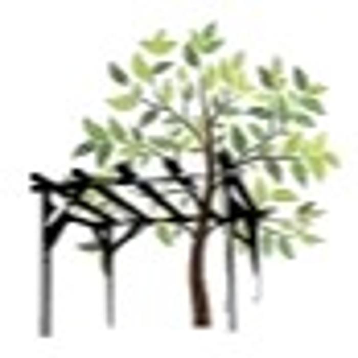 Design Scapes Inc.
