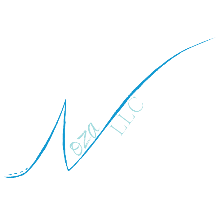 NOZA LLC