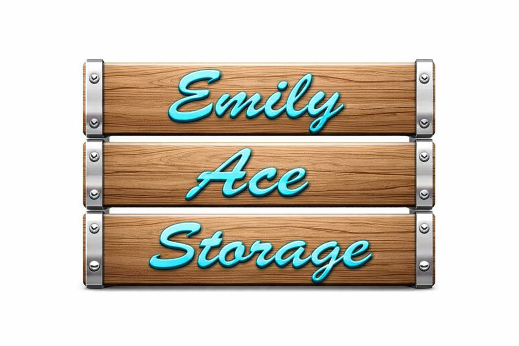 Emily Ace Storage