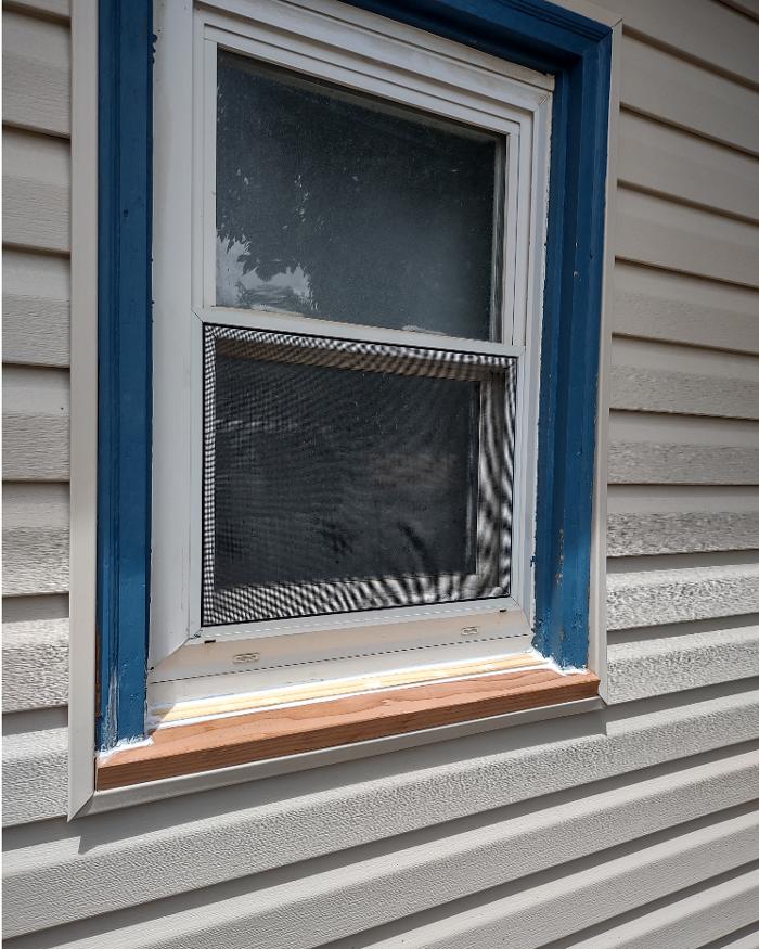 Window