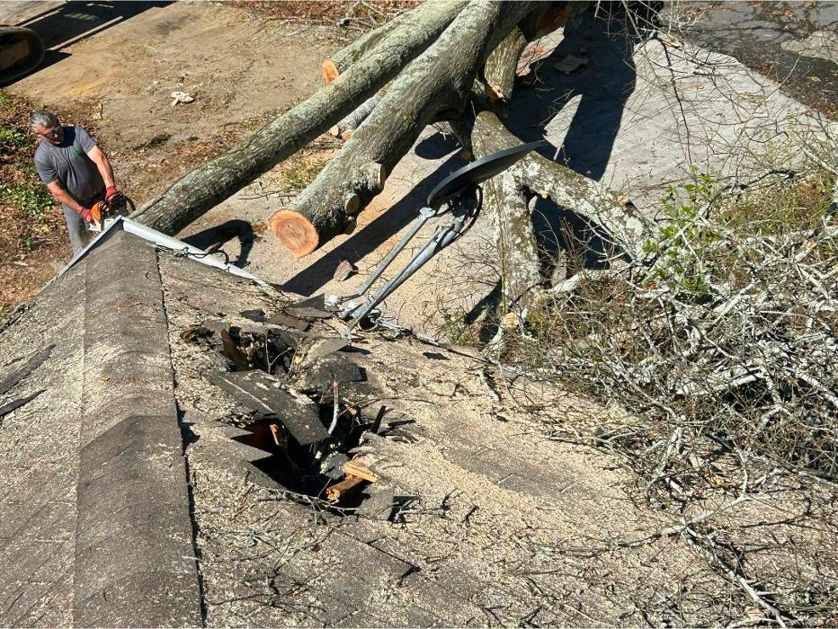 Severe weather can cause unexpected roof damage, like this fallen tree on a residential roof. Our crew responded quickly to safely assess the damage and provide options for the homeowner.