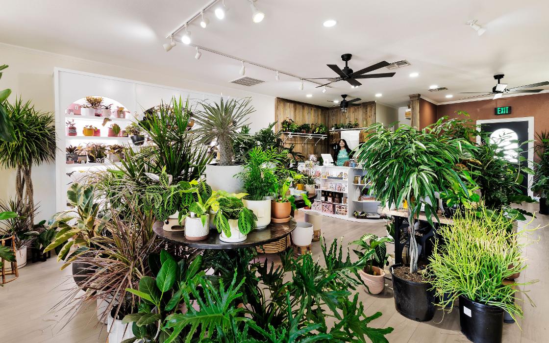 Terra Cotta Botanical Boutique