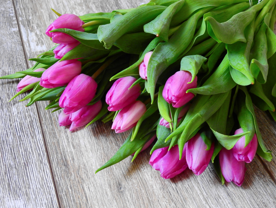 Baltimore Flower Delivery